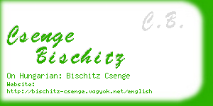 csenge bischitz business card